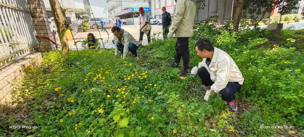 新建位圖圖像 - 副本